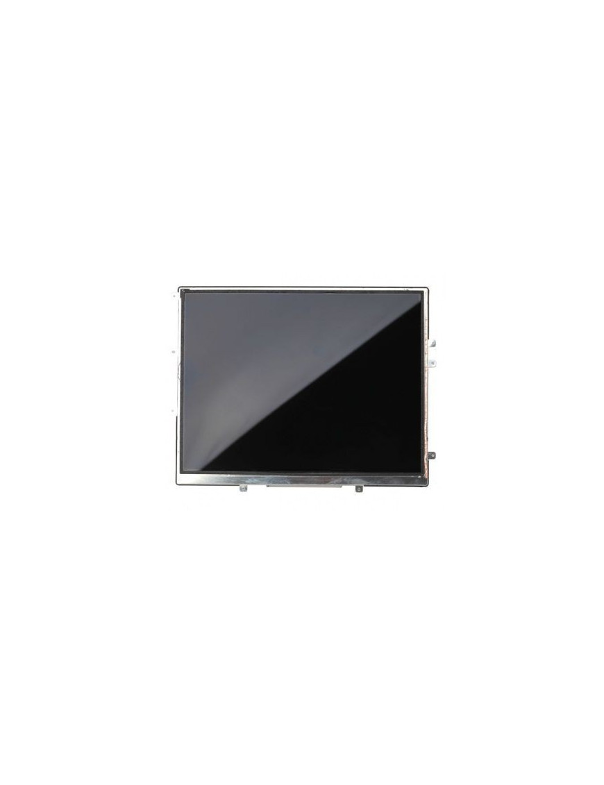 Ecran LCD - iPad