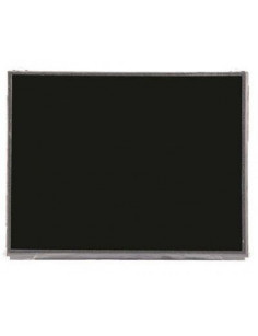 Ecran LCD - iPad 2 